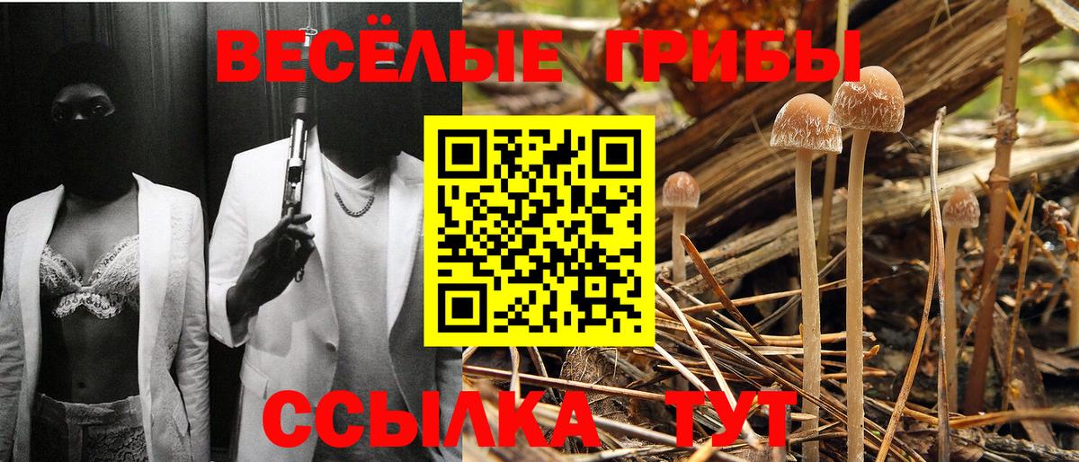 Псилоцибиновые грибы прущие грибы Соль-Илецк